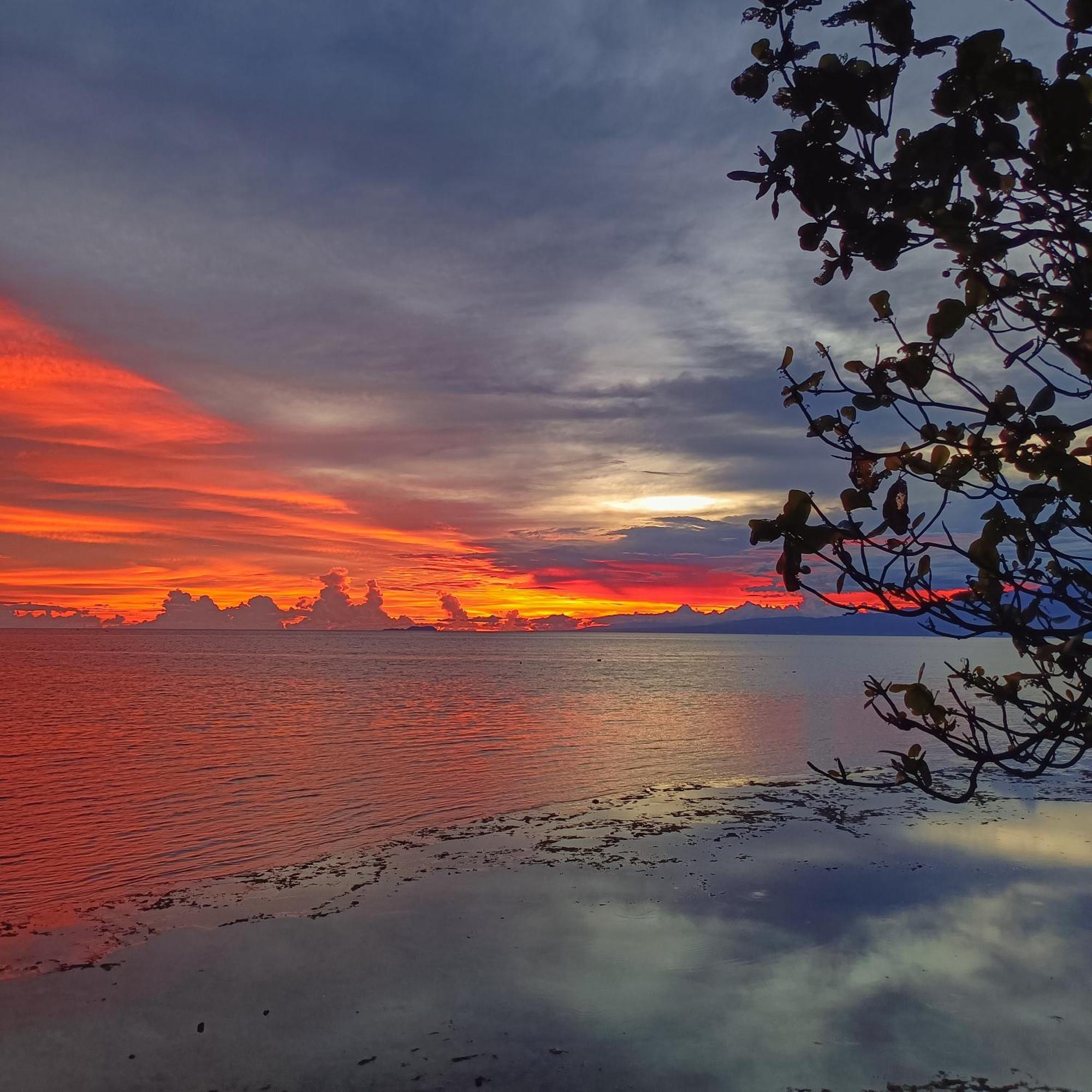 Zara'S Casa Rental Siquijor Dış mekan fotoğraf